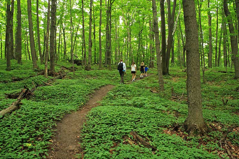 the start of the green point dunes hike